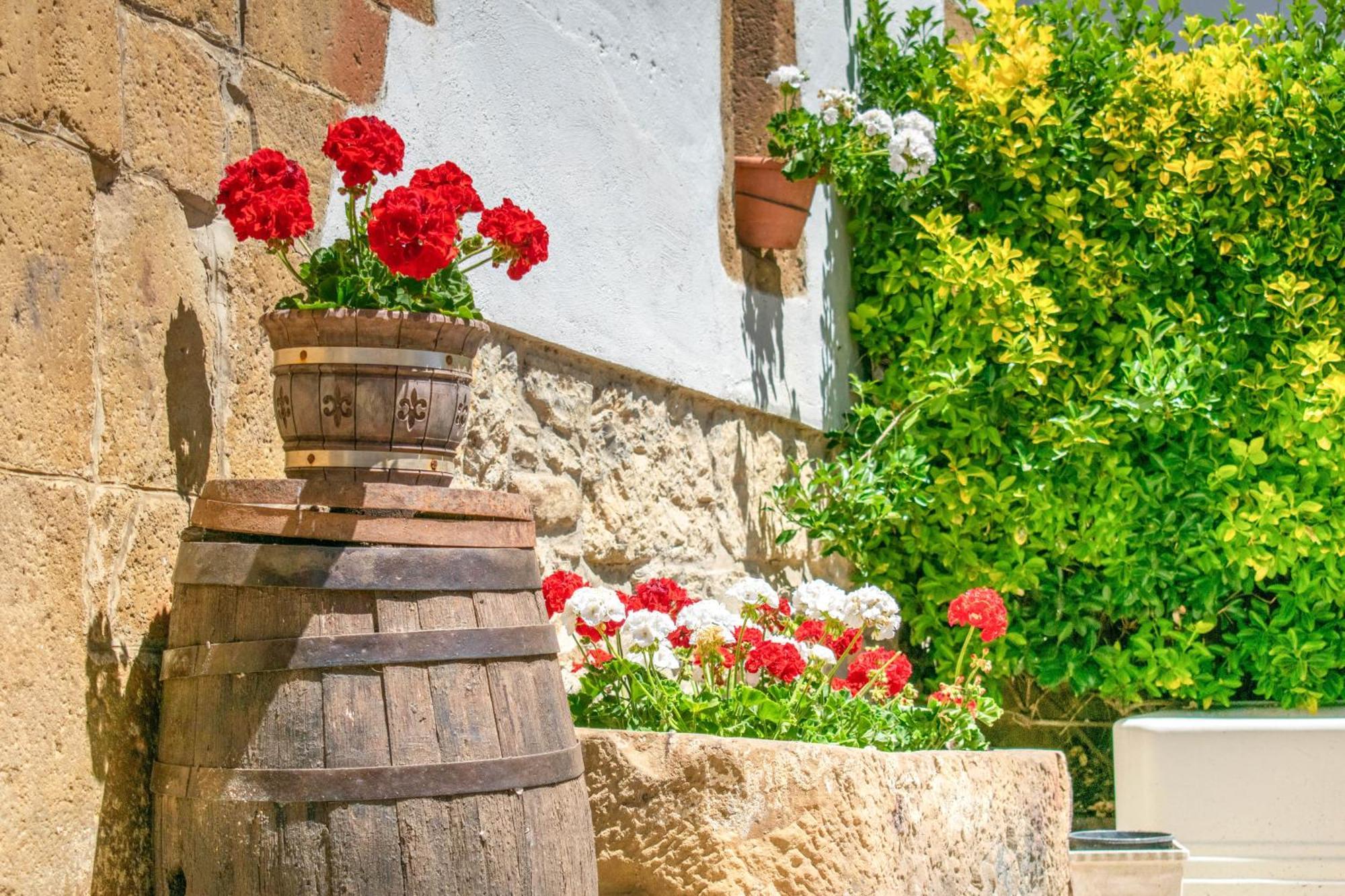 Casa Rural Arotzenia, Hogar Rustico En Pleno Valle De La Ulzama Lizaso 외부 사진